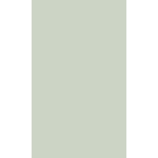 Walls Republic Green Textured Plain Print Paste the Wall Double Roll Wallpaper 57 Sq. Ft.
