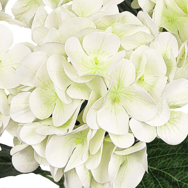 LIVING LUXURY 18 in. Cream White Natural Touch Artificial