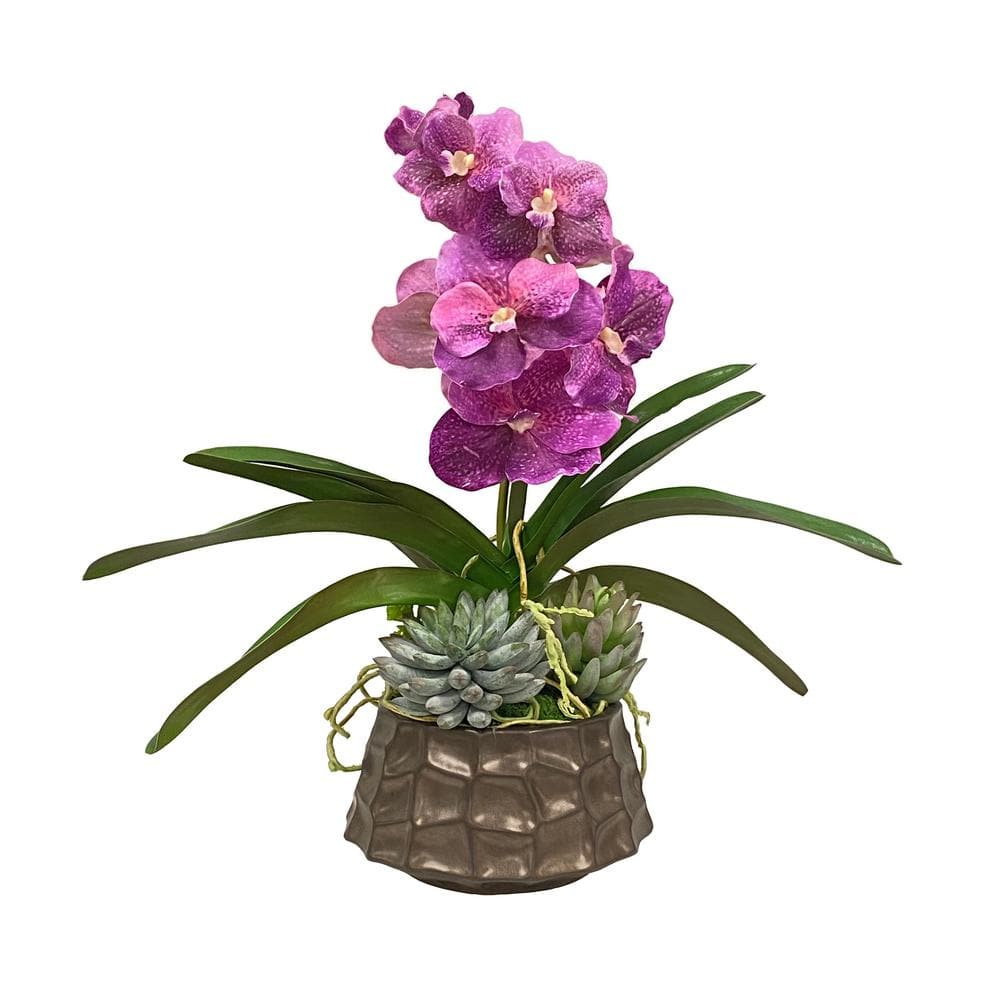 19 in. Purple Indoor Artificial Vanda and Succulent in Modern Pot
