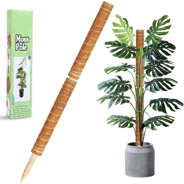 Unbranded 17 in. Plant Stake Moss Sticks for Monstera Indoor Creeper Support Extension Climbing Plants (2-Pack)