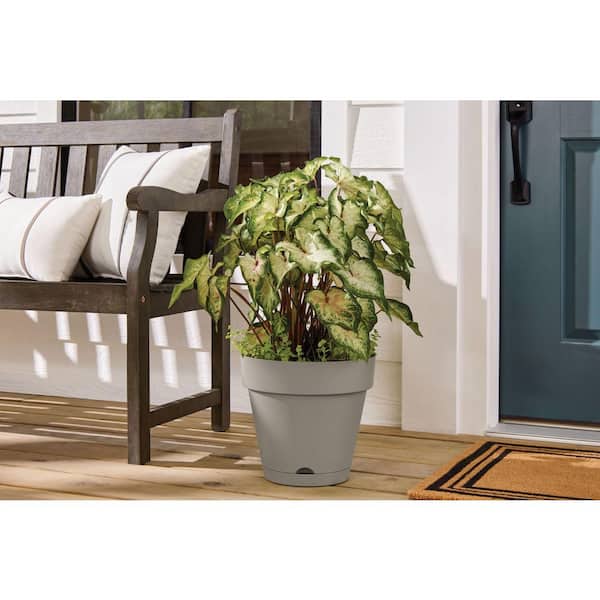 Vivienne Medium Gray Plastic Round Self-Watering Planter with Attached Saucer (12 in. L x 12 in. W x 10.98 in. H)