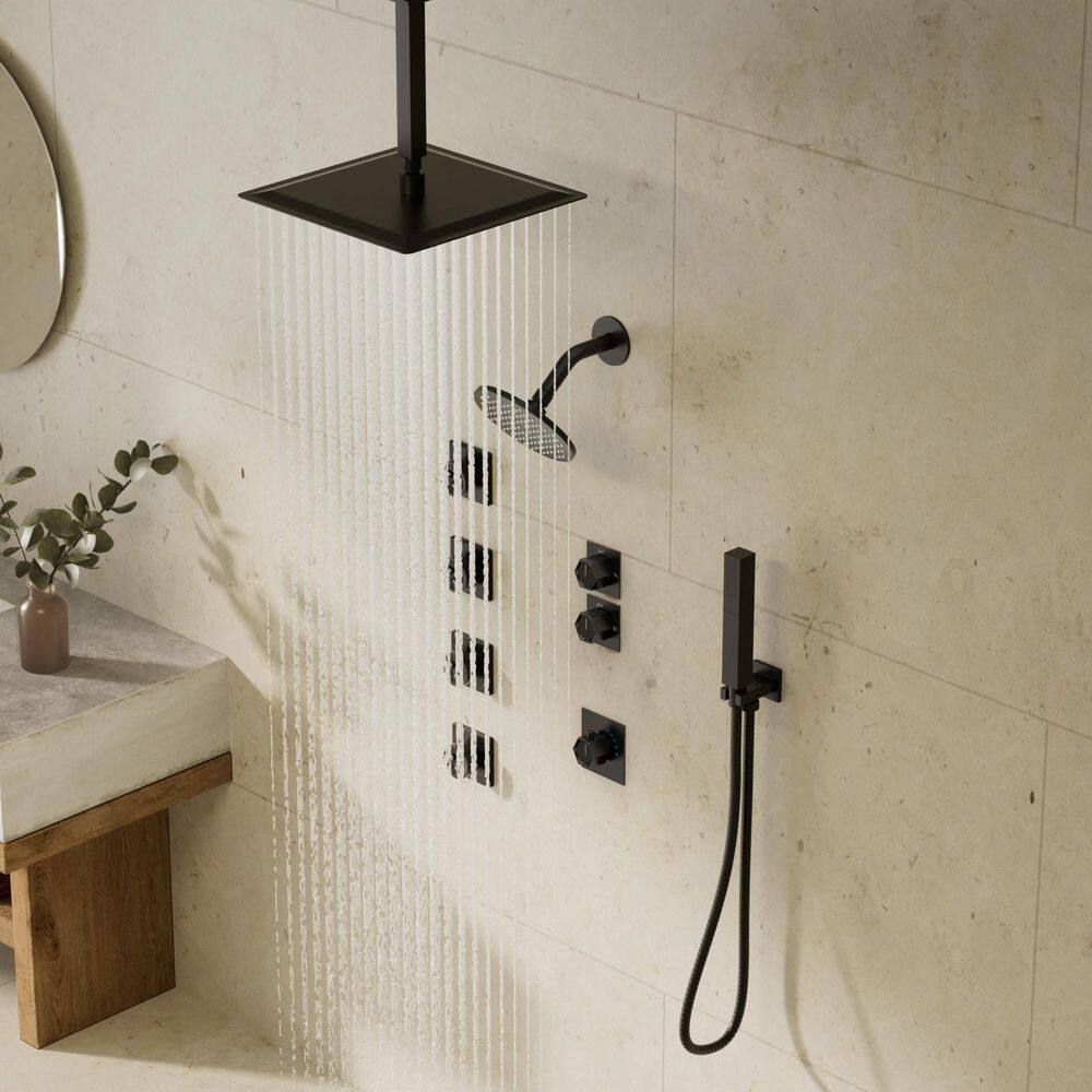 12 in. 5-Spray Multi-Functionn Dual Shower Head and Handheld Shower Head High Pressure with Hand Shower in Matte Black price history on PriceWatchPro