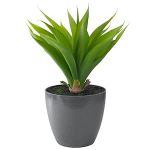 22 in. Potted Green Artificial Agave Plant