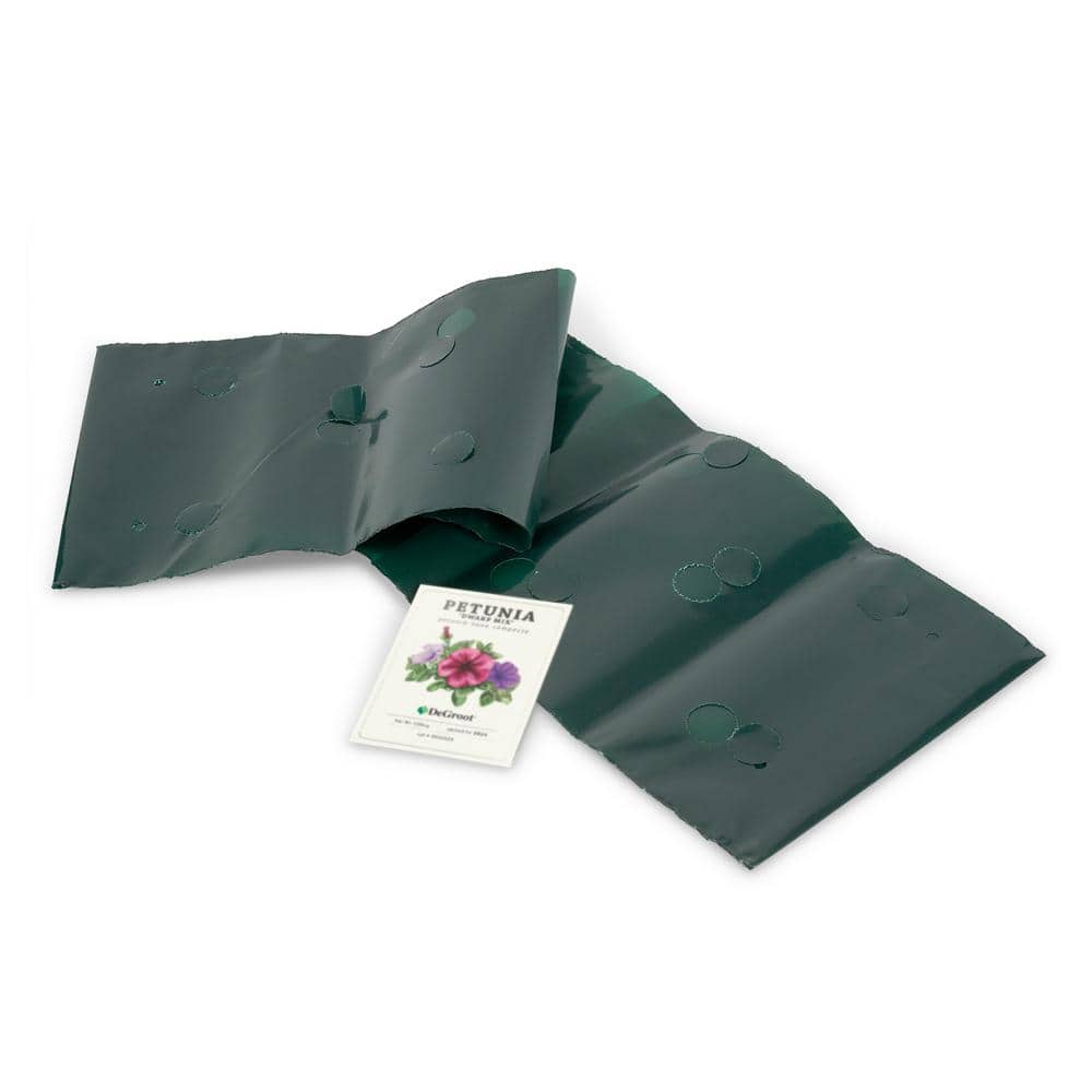Bag OBlooms Saddle Bag Petunias, DIY Seed Kit (1-Packet), Assorted Flowers