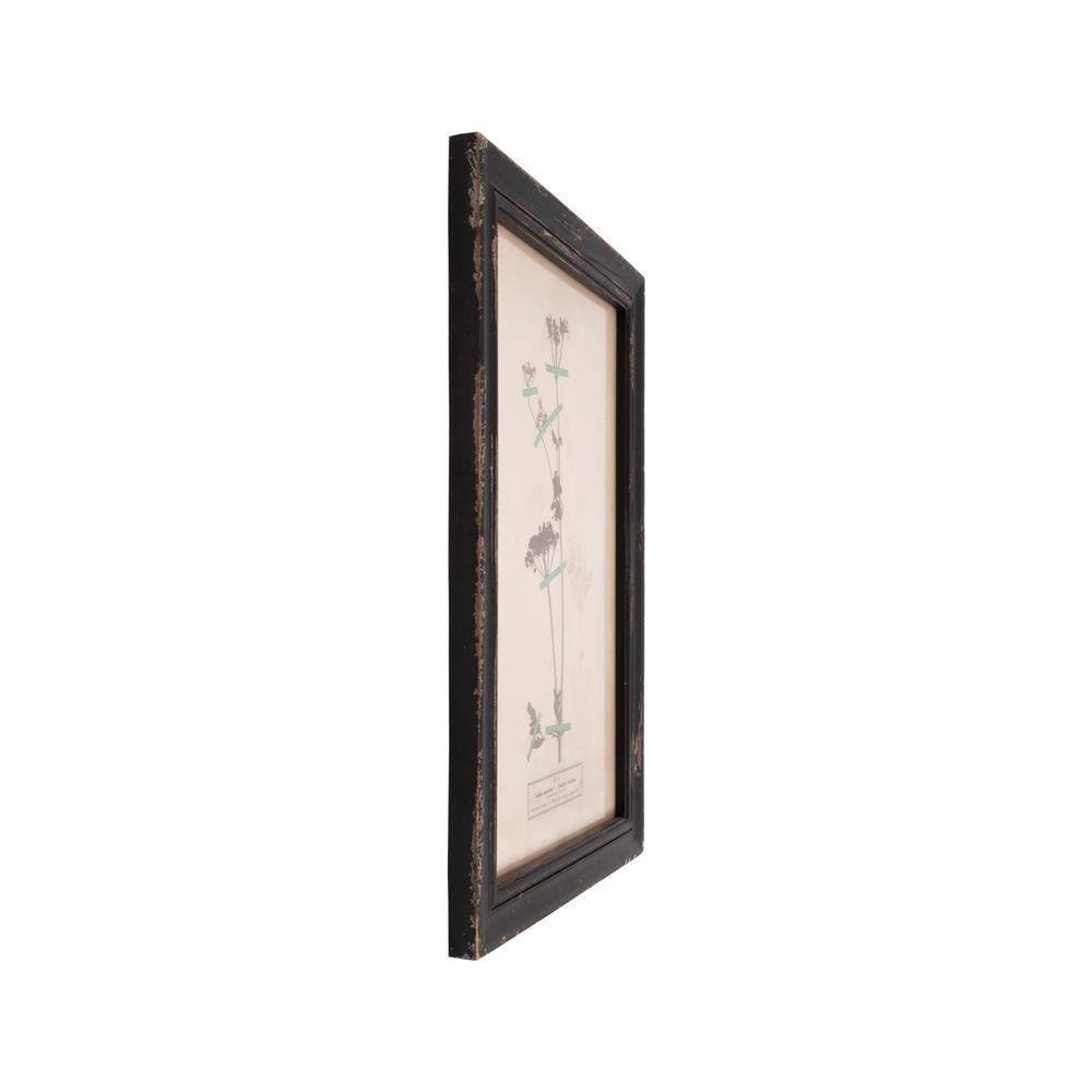 Distressed Black Wood Framed Botanical Wall Plaques Set of 16
