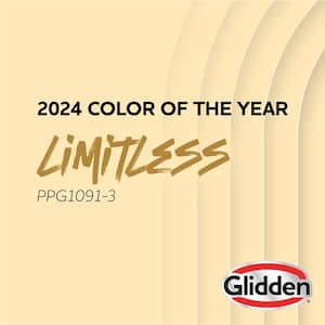 Limitless PPG1091-3 Paint