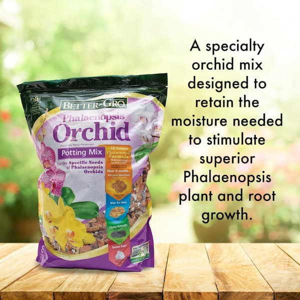 Better-Gro 8 Qt. Phalaenopsis Mix Twin Pack 50113 - The Home Depot
