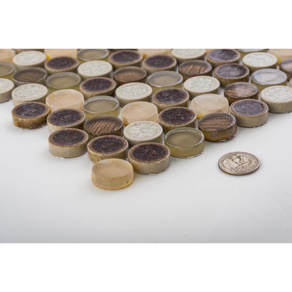 Brown Penny Round Mosaic Tile with Polished Finish