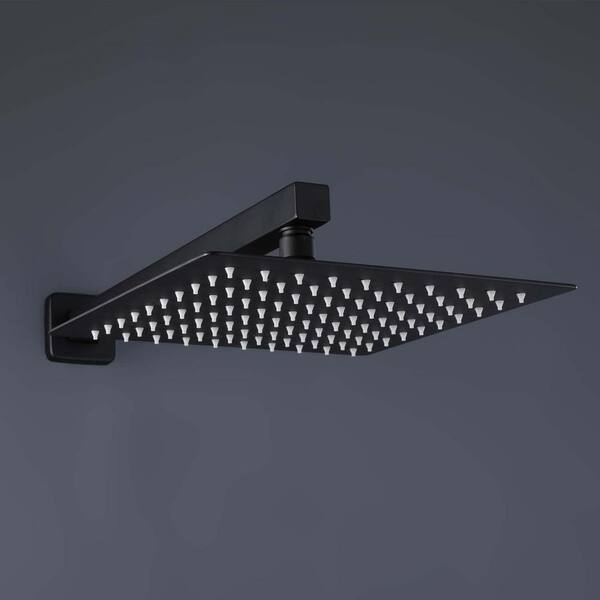 GIVING TREE 2-Spray Square 10 in. Rain Shower Head with