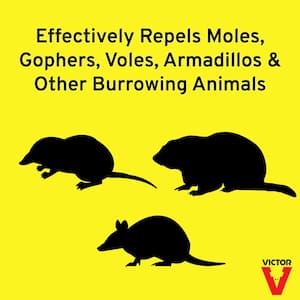 10 lbs. Mole and Gopher Repellent Granules (2-Pack)