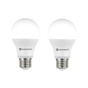 60-Watt Equivalent A19 Non-Dimmable LED Light Bulb Soft White (2-Pack)