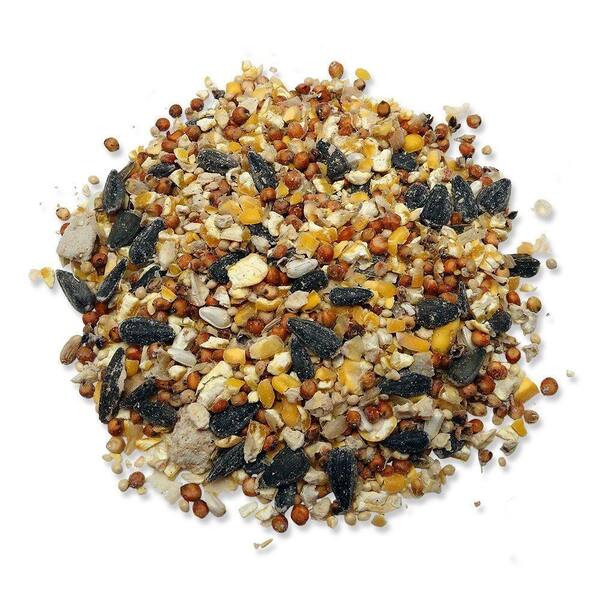 Home Depot Mixed Bird Seed Wild Bag unique rare bird