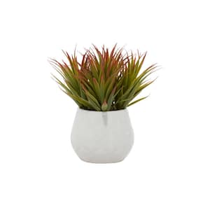9 in. H Striped Stemmed Aloe Artificial Plant with Realistic Leaves and White Ceramic Pot