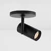 matte-black-vidalite-flush-