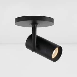 ZIV Modern 1-Light Integrated LED Flush Mount Spotlight with Color Changeable Lens Caps, Rotatable 3000k, Black