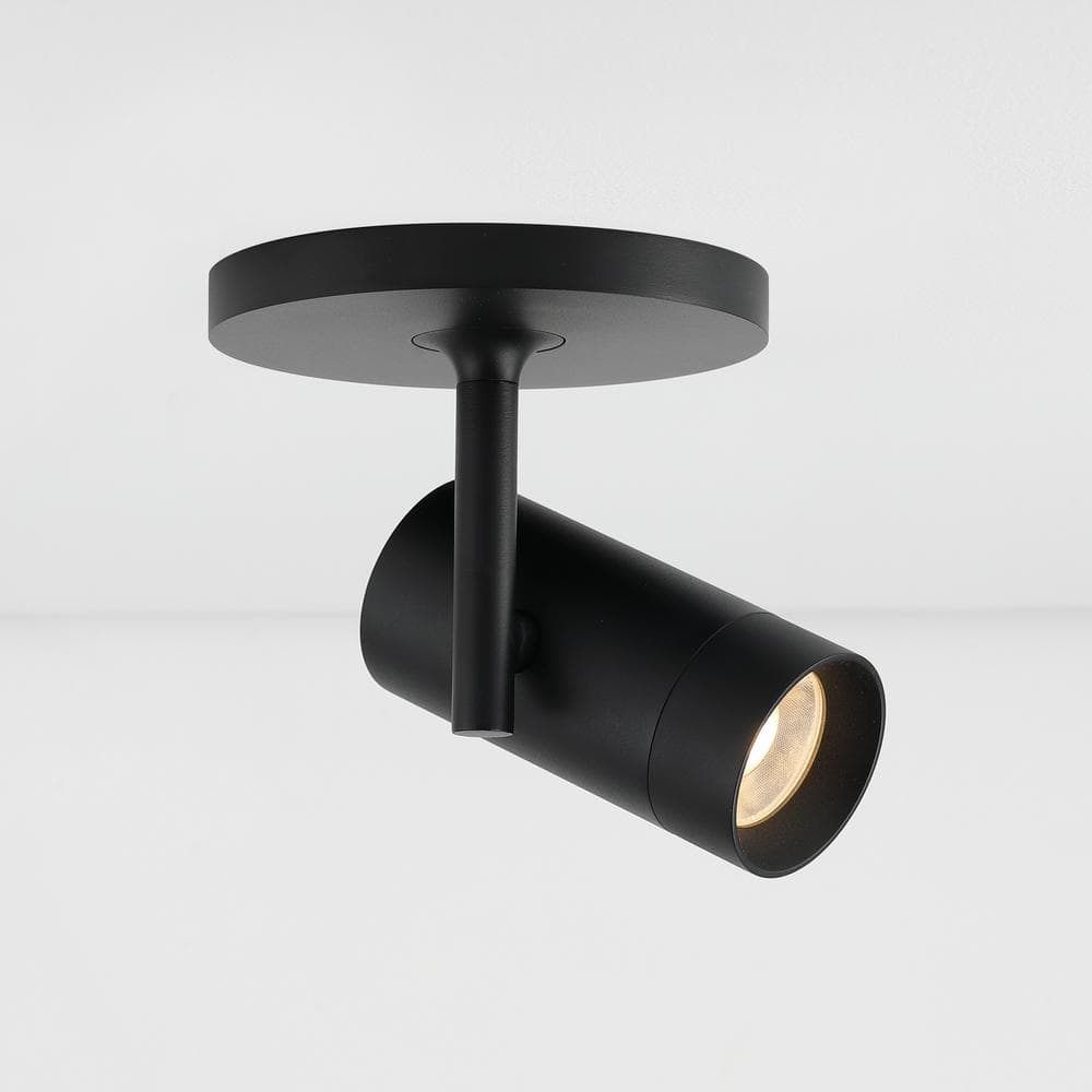 スポットライト matte-black-vidalite-track-