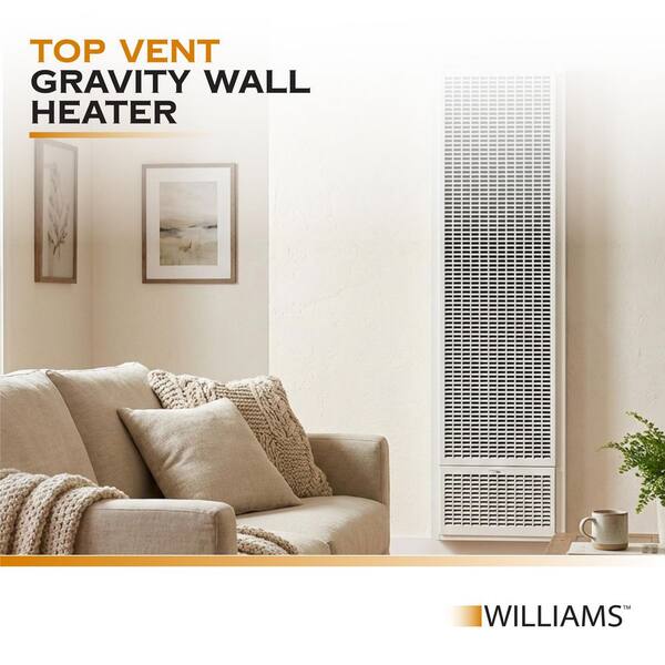 Williams 25,000 BTU Top Vent Natural Gas Wall Heater 2509822 - The