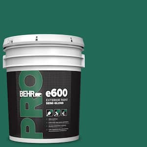 5 gal. #S-H-480 Forest Rain Semi-Gloss Exterior Paint