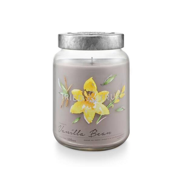 Unbranded 22.2 fl. oz. Vanilla Bean XLarge Jar Scented Candle (1-Pack)