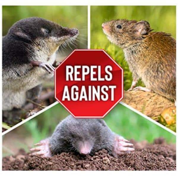 5 lb Red Granular Mole and Vole Repellent