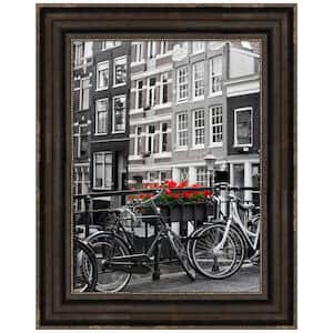 Opening Size 18 in. x 24 in. Stately Bronze Picture Frame