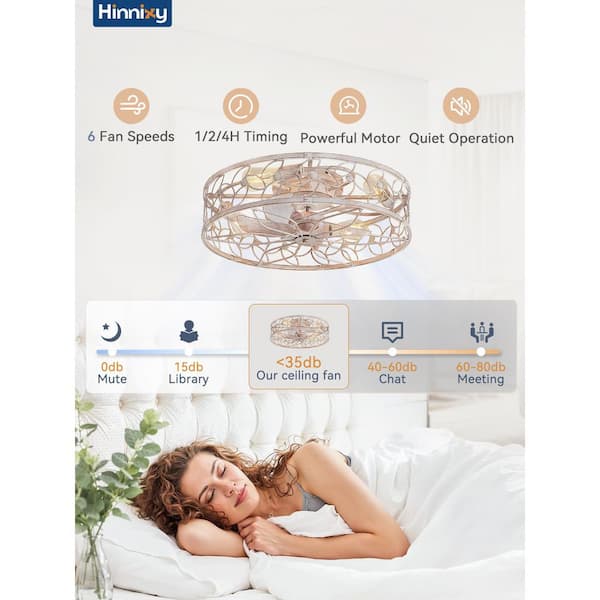 HINNIXY 23 in. Indoor White Gold Flush Mount Caged Ceiling Fan with Light Kit and Remote Control