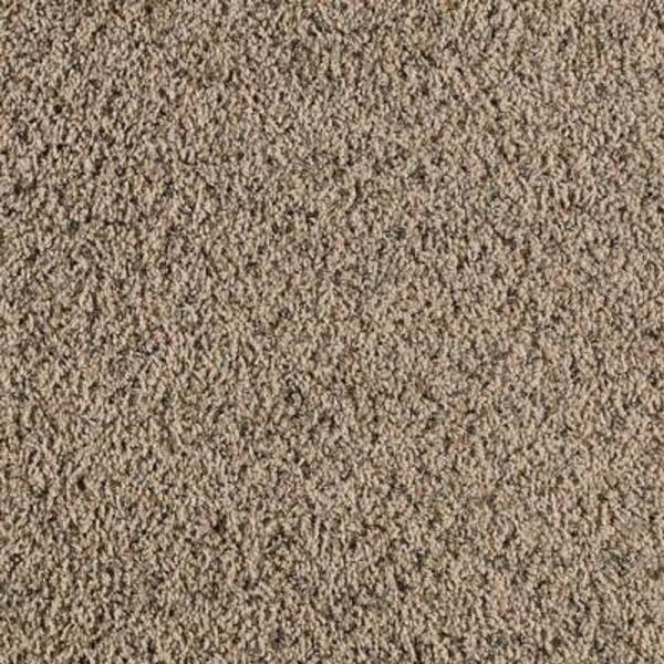 Lifeproof Carpet Sample - Bassano II - Color Wetlands Twist 8 in. x 8 in.