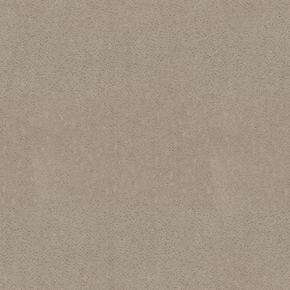 8 in. x 8 in. Pattern Carpet Sample - Pattern Plays - Color Beachcomber price history on PriceWatchPro
