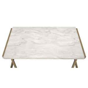 Boice II 44 in. Faux Marble/Champagne Large Rectangle Wood Coffee Table