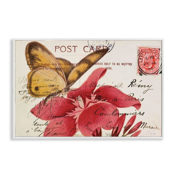 Stupell Industries Antique Postcard and Butterfly by Deborah Revell White Framed Animal Giclee Art Print 20 in. x 30 in.
