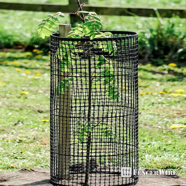BOEN 3'x15' 7-Gauge Black Plastic Extruded Mesh Rolled Fencing