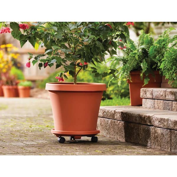 Black 12-2 Pack Bloem Round Plant Stand Caddy w/Wheels Saucer Tray CAD1200 