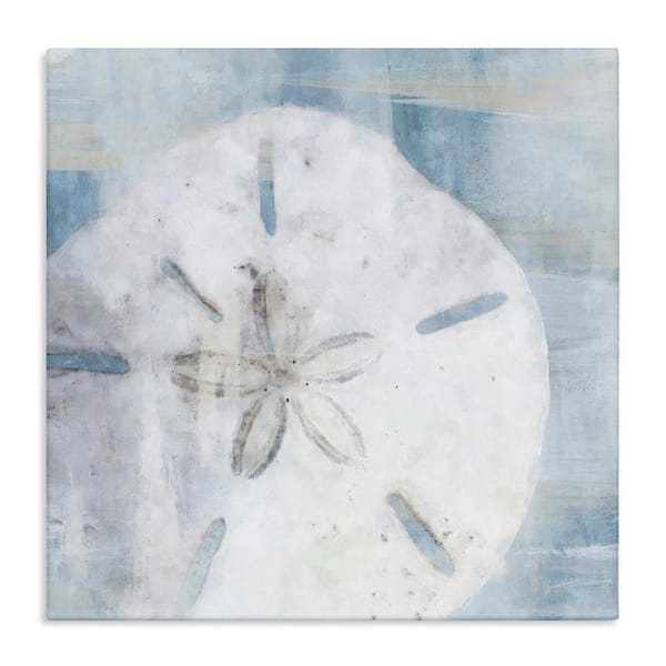 Pastel Blue Sand Dollar Seashell by Nina Blue Unframed Graphic Art Print Coastal 24 in. x 24 in.