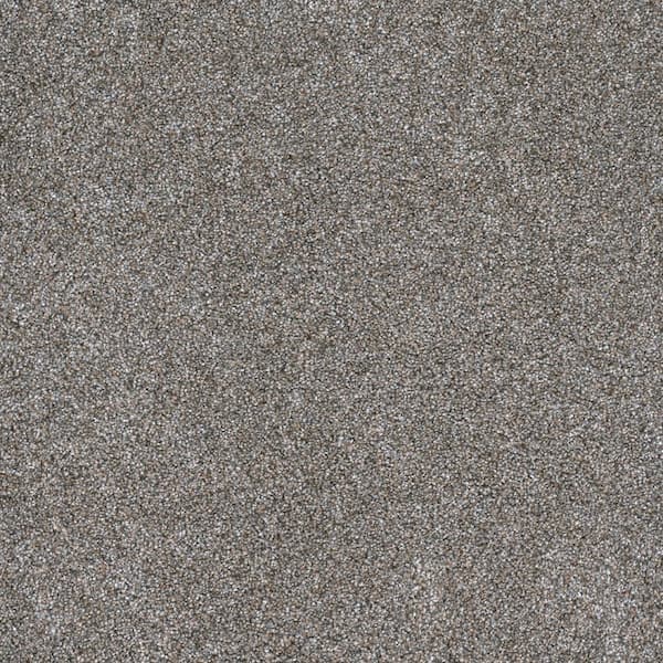 Lifeproof 8 in. x 8 in. Texture Carpet Sample - Hazelton I - Color Drama
