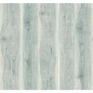 Blue Frost Kieri Vinyl Unpasted Wallpaper Roll (60.75 sq. ft.)