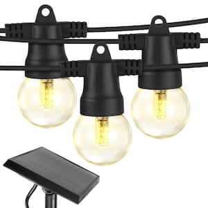 Hampton Bay 12-Light 12 ft. Indoor/Outdoor Gold Socket Plug-In String Light  with Incandescent Bulbs Included LM009-12L - The Home Depot