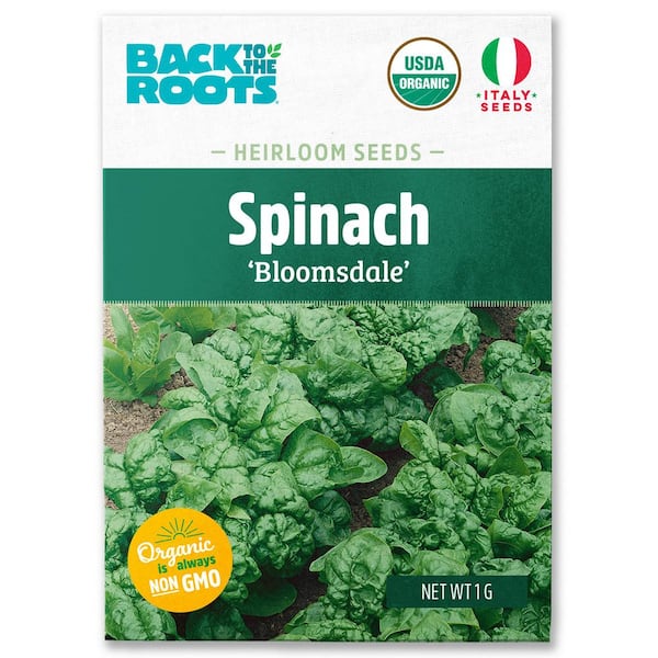 Organic Bloomsdale Spinach Seed (1-Pack)