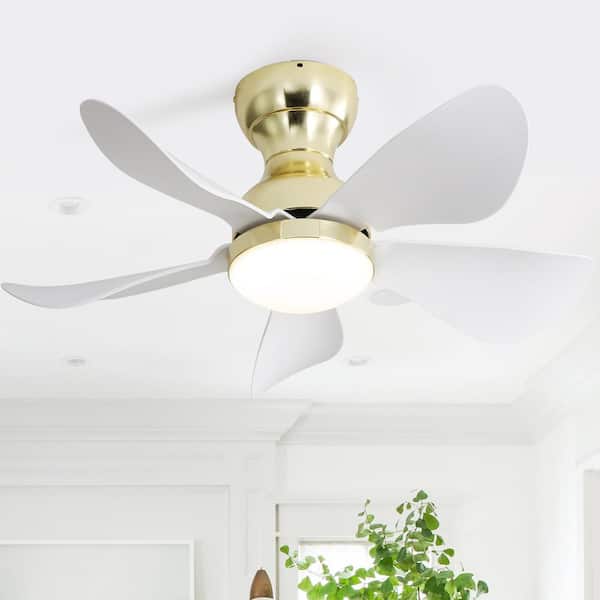 Sofucor 29 in. Small Indoor/Outdoor Modern Ceiling Fan with 6-Speed DC Remote Control and Reversible Motor(Gold)