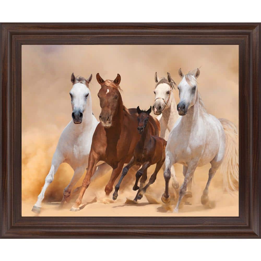 28 in. x 34 in. Horses in Dust by Loya_Ya Framed Print Wall Art - Classy Art 5560, image size:1000x1000