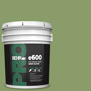 5 gal. #M370-5 Agave Plant Semi-Gloss Exterior Paint