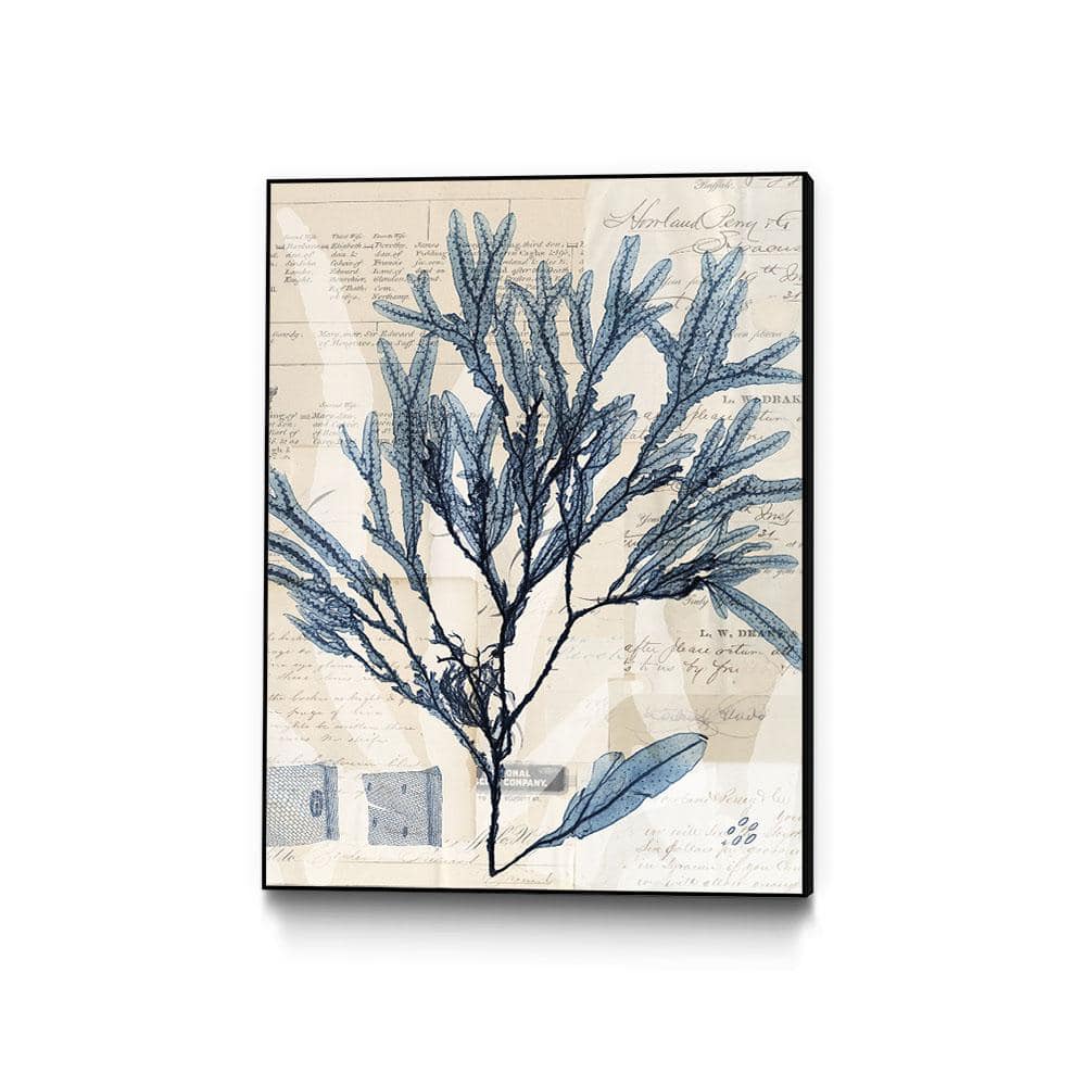 30 in. x 40 in. Seaweed Arrangement I by Vision Studio Framed Wall Art