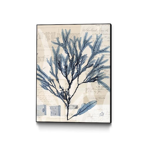 Unbranded 30 in. x 40 in. "Seaweed Arrangement I" by Vision Studio Framed Wall Art