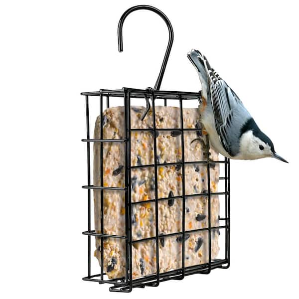 Basic Black Metal Hanging Suet Cage Bird Feeder for Multiple Bird Species with 1 Suet Cake Capacity