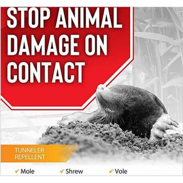 2.5 lb Granular Mole and Vole Repellent, All Natural