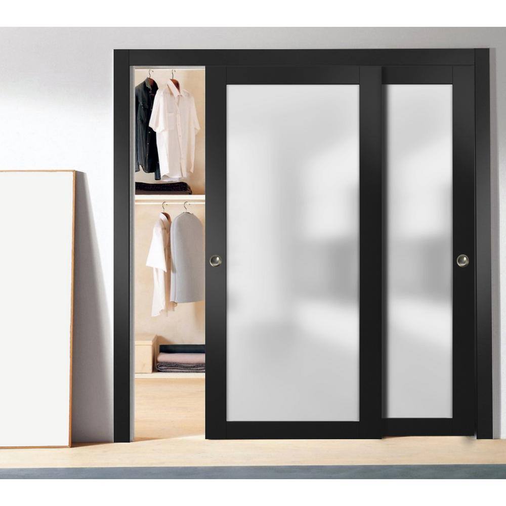 Black Sliding Closet Doors with Frosted Glass Panels and Hardware
