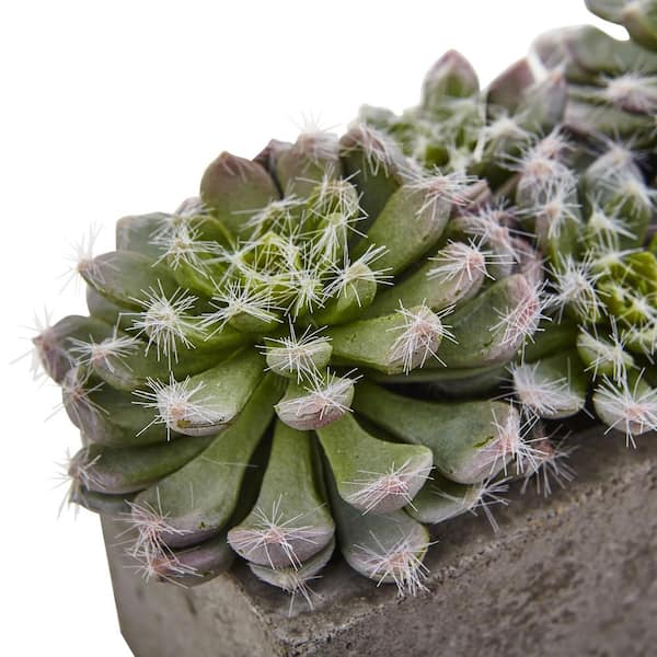 Nearly Natural - Artificial Succulent Garden with Textured Concrete Planter