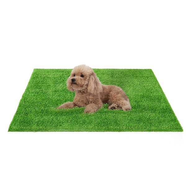 CAPHAUS Green 2.5 ft. x 4.5 ft. Artificial Grass Turf, Faux Grass