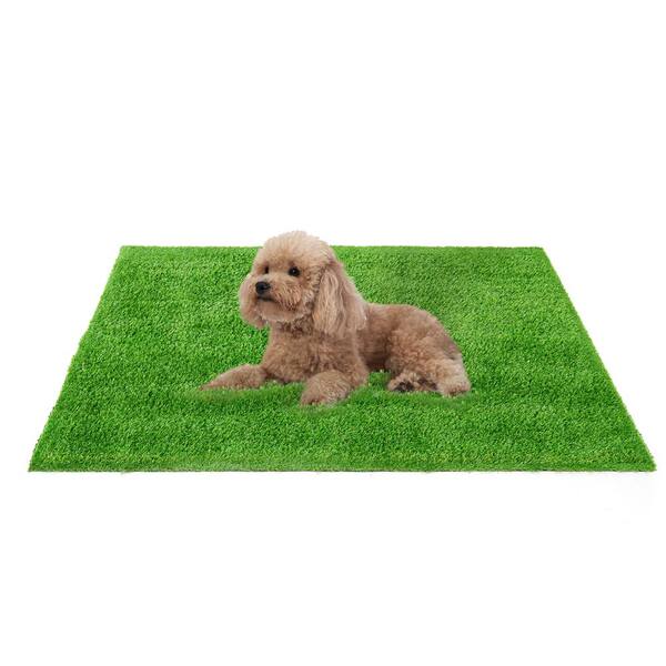 Artificial Grass For Dogs GLOBREEN Puppy Artificial Grass Pee Pad