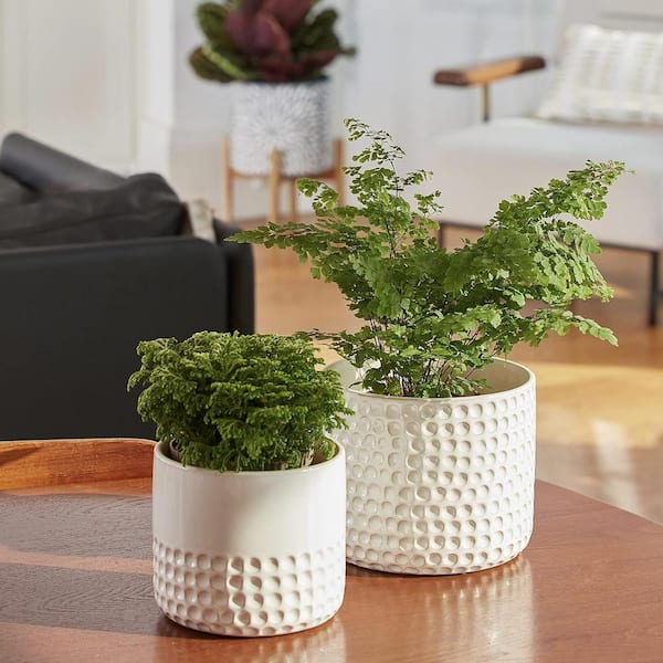 Ivory Ceramic Indoor/Outdoor Planter Flower Plant Pot with Drain
