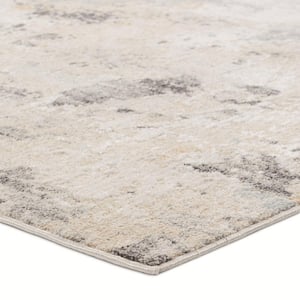 Gray/Cream 4 ft. X 6 ft. Abstract Area Rug